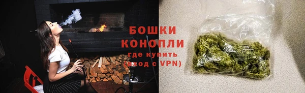 шишки Арсеньев