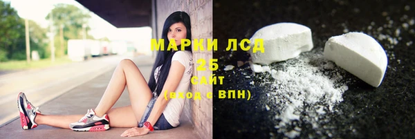 шишки Арсеньев