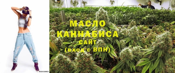 шишки Арсеньев