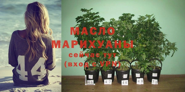 шишки Арсеньев