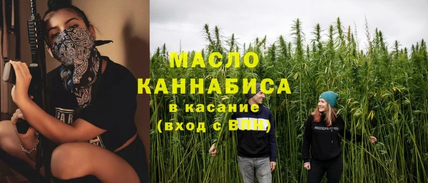 шишки Арсеньев