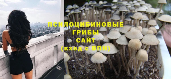 трава Новозыбков